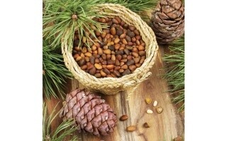 Pine Nuts: Health Benefits and Nutritional Value