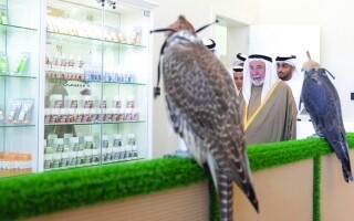 Inauguration of Sharjah Falconers Club