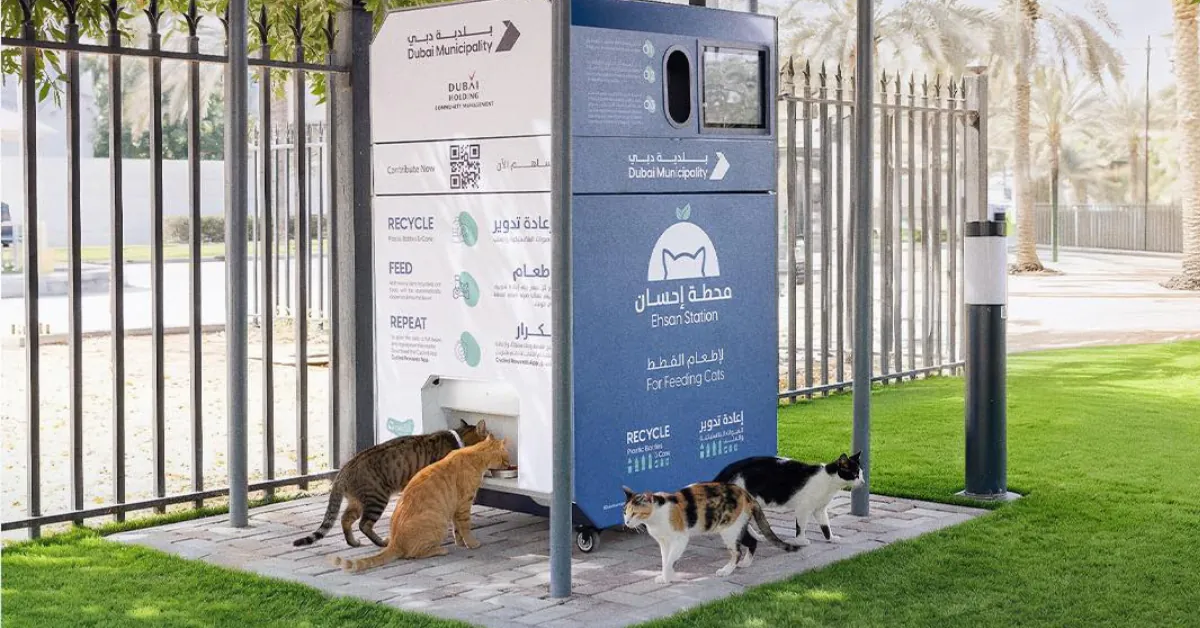Dubai Launches 'Ehsan Stations' to Feed Stray Animals Using AI