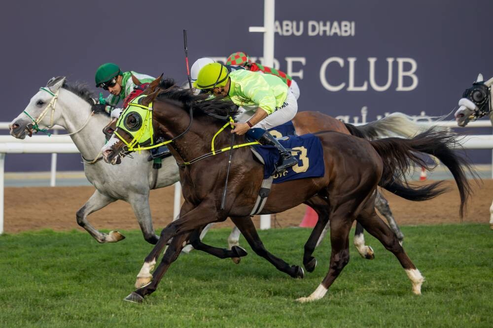15 Carreras de Caballos Árabes en Abu Dhabi
