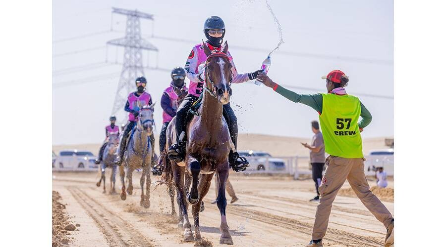 UAE Endurance Races: Men's and Women's Competitions