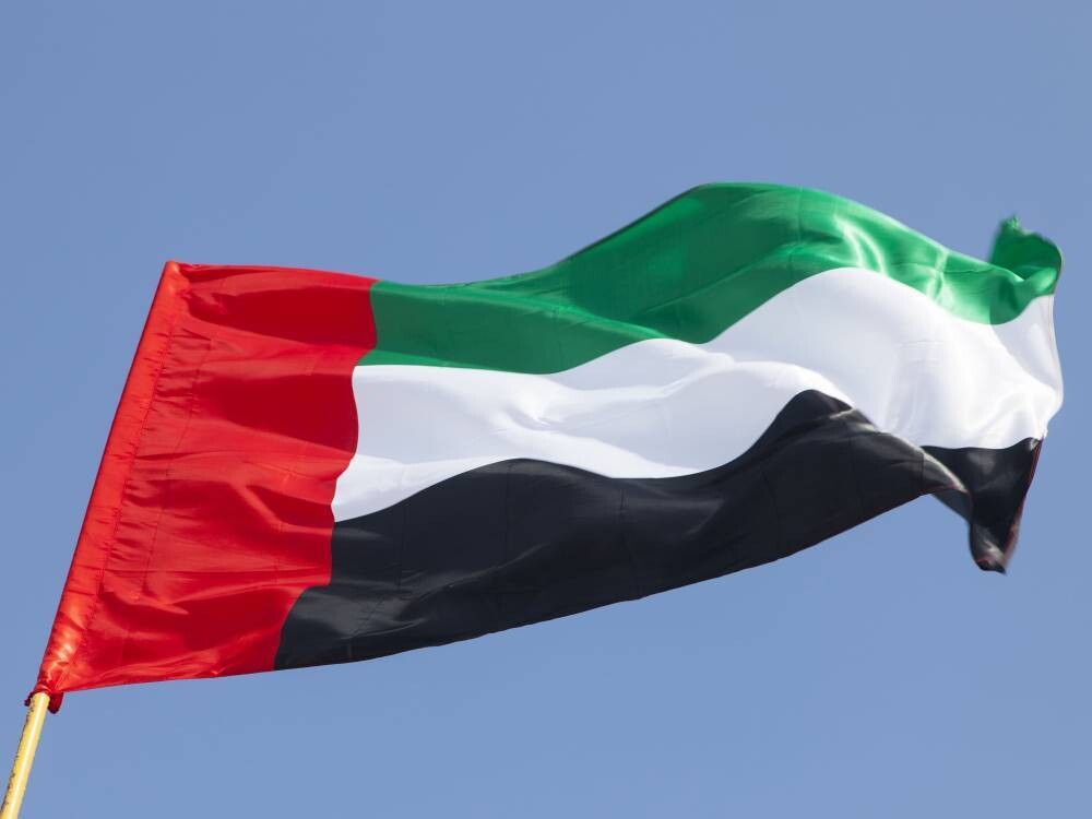 UAE's Position on Hormuz Ceasefire: Demand for Real Action, Not Diplomatic Illusions