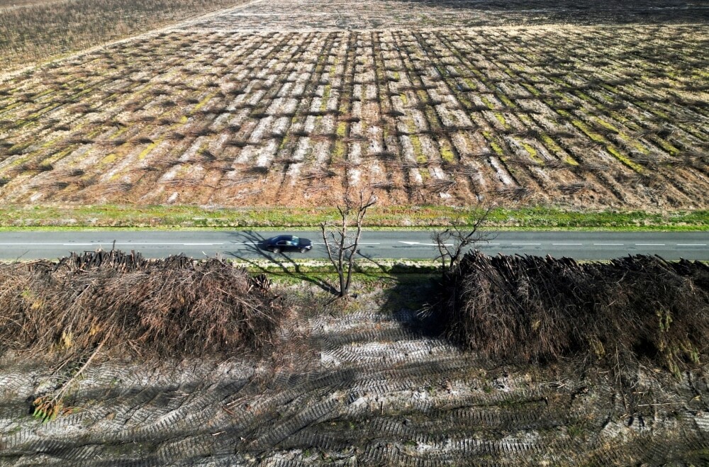 Economic Damage from Extreme Weather in Europe Has Quintupled