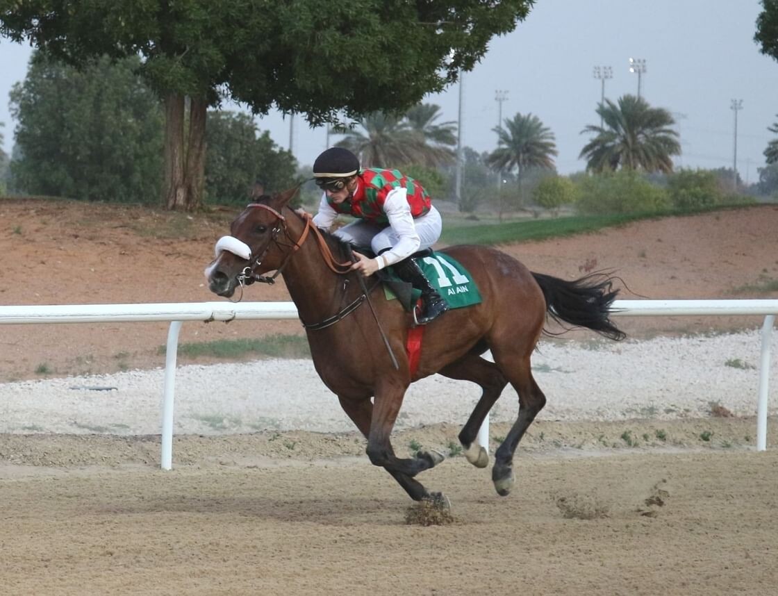 The First Race at Al Ain Club for Equestrianism