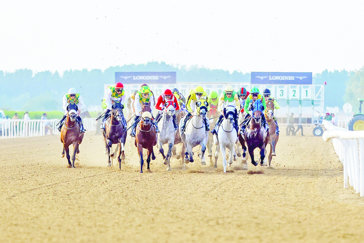 Equestrian Event Organized in Sharjah