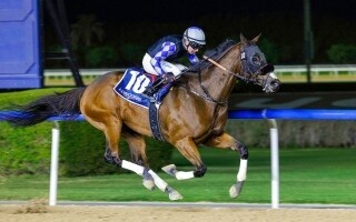 Fashion Friday at Meydan Racecourse Sets Stage for Dubai World Cup