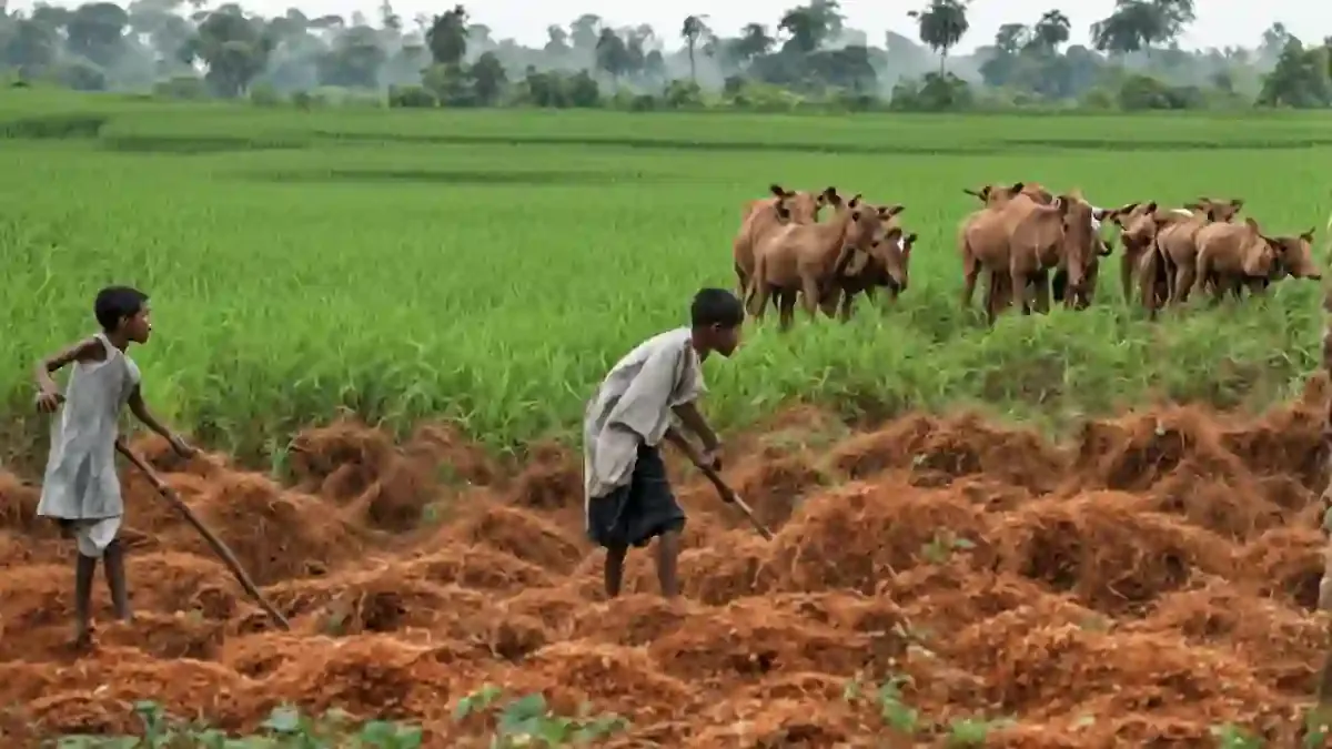 欧行预测能源高价将导致新兴市场增长下调