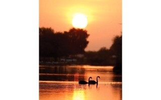 迪拜：宁静与自然之美绿洲