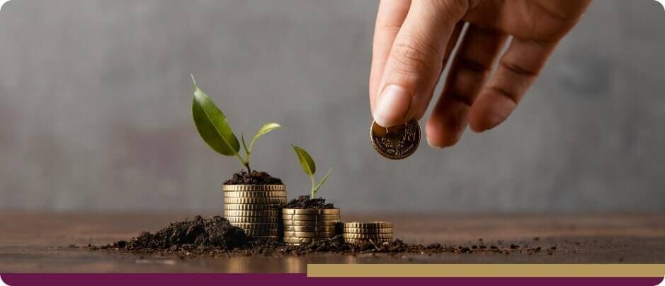 Development of the Savings System in the UAE