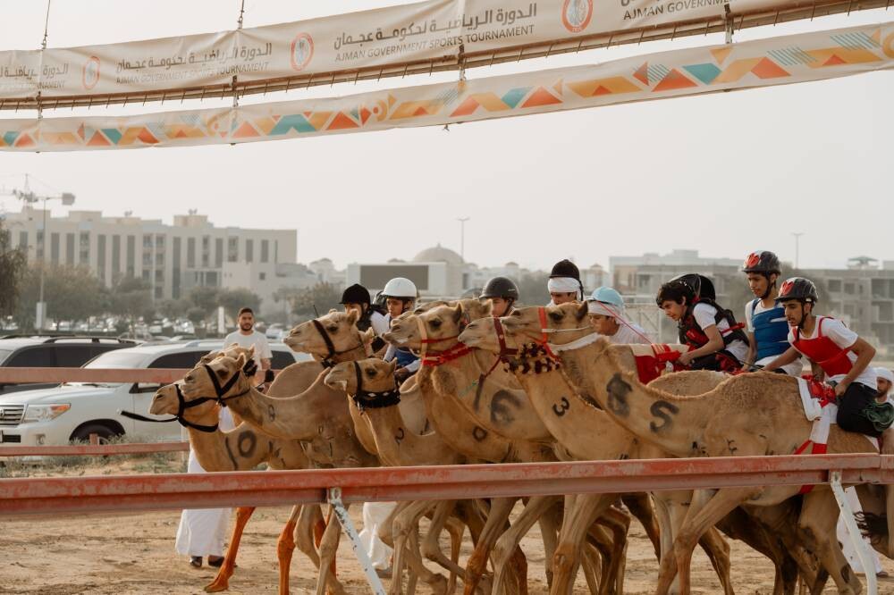 Camel Races Held in Ajman as Part of 2026 Sports Games