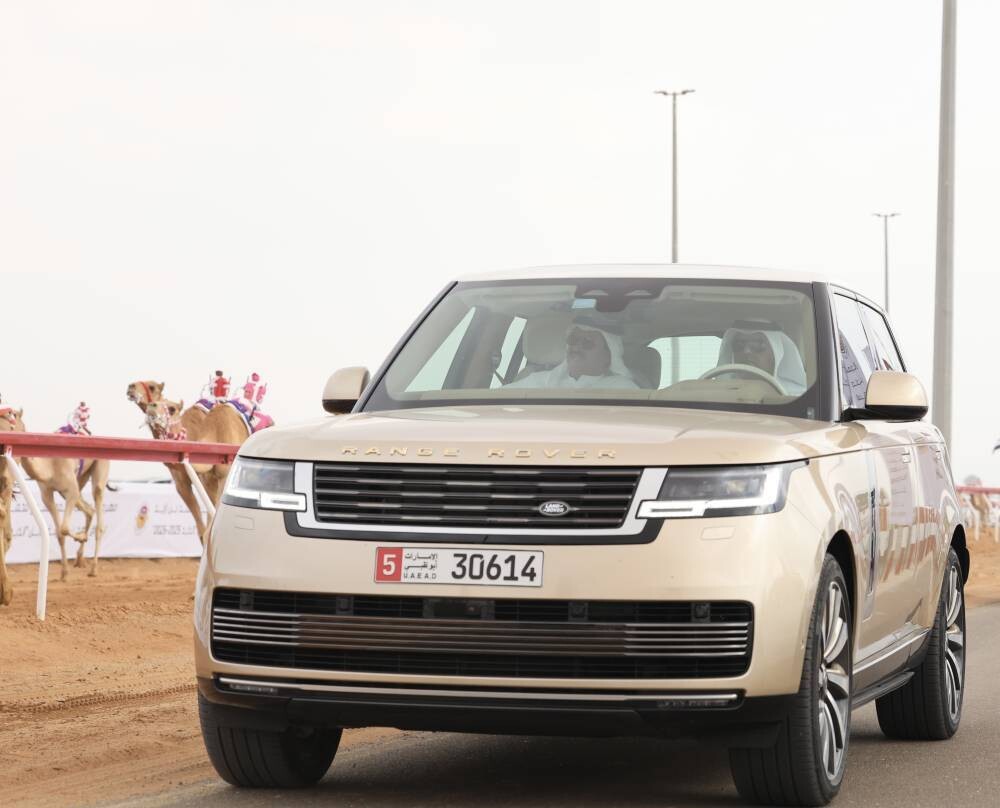 阿布扎比举行骆驼比赛