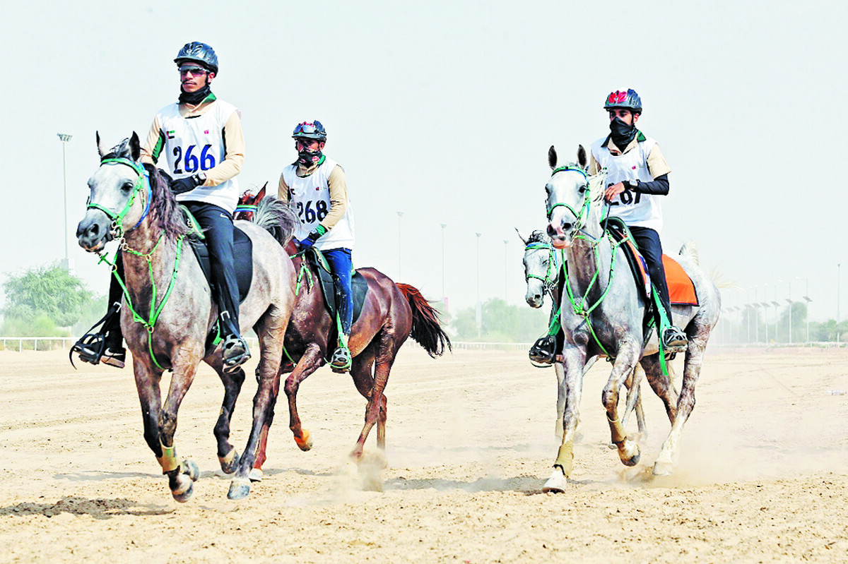 Dubai Horse Racing Club Opens Registration for Marathon