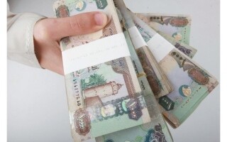 Growth in Employee Numbers in UAE's Wage Protection System