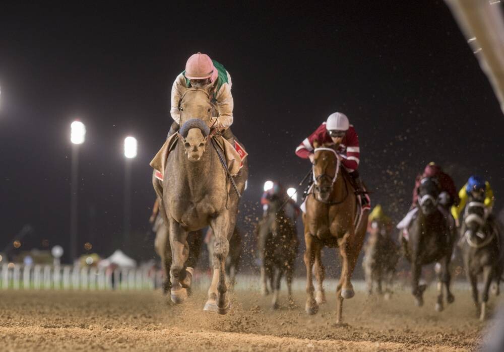 Dubai World Cup Evening Set to Shine