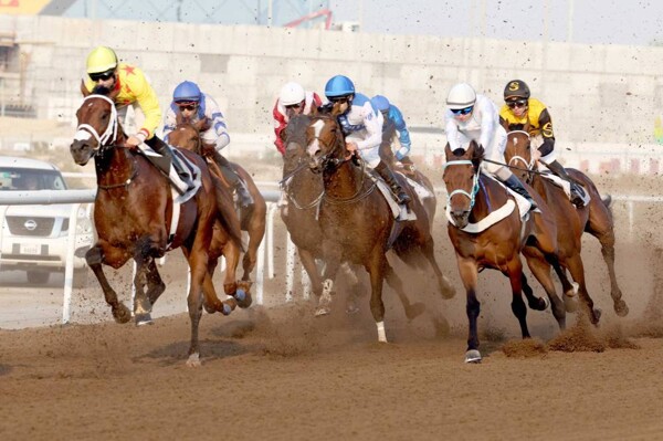 Sixth Race of the Season at Jebel Ali Racecourse