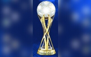 Проблемы, с которыми сталкиваются тренеры в Кубке профессоналов ОАЭ