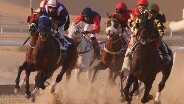 Fifth Arabian Horse Race at Liwa Sports Club