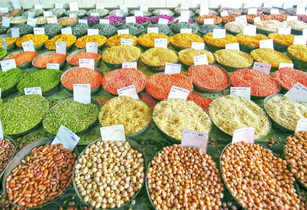 Global Food Prices Rise After Five-Month Decline