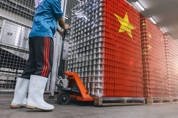 La Sacudida de las Obligaciones Occidentales: ¿El Fin de una Época de Fiabilidad?