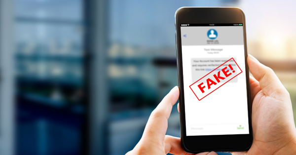 Полиция Рас-эль-Хаймы предупреждает о мошенничестве с дорожными сборами