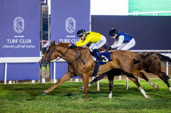 Draw for the main Abu Dhabi Golden Cup race