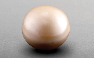 Zayed National Museum Named to Time's List of World's Greatest Places