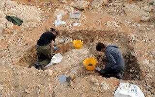 Sharjah Launches 'Fayya for Research' Grant