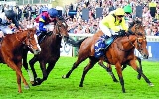 Королева примет участие в Кубке коронации на фестивале Royal Ascot
