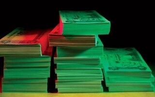 'Ani' Platform Shows Explosive Growth in UAE