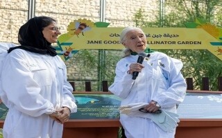 Pollinator Garden Opens in Expo Dubai