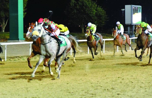 New Racing Season Kicks Off in Al Ain