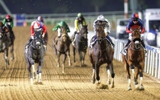 Imperial Empire Wins Al Maktom Mile in Dubai
