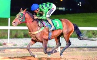 Al Ain Hosts the Tenth Race for Purebred Arabian Horses