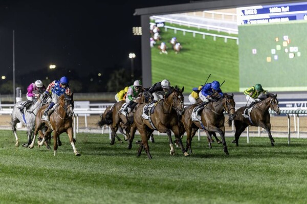 迈丹赛马场“迪拜奖杯”主赛