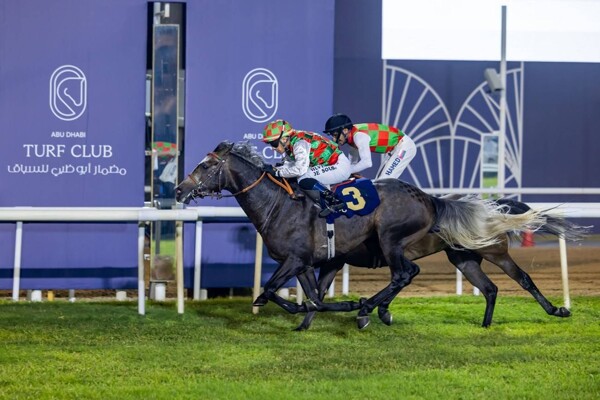 Abu Dhabi Hosts New Season Horse Races
