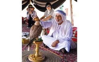 Falcon: A Symbol of UAE's Heritage