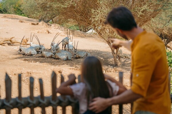 A Good Time to Rediscover Dubai