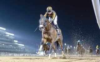 Dubai Racing: Drooz Gold Wins Principal Race