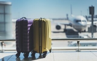 Предупреждение: кокосовые орехи запрещены на борту самолета по этой причине