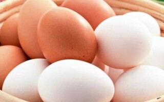 How to Choose the Healthiest Eggs: A Nutrition Guide