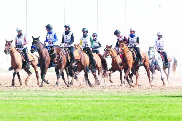 В Дубае пройдут скачки для конюрен