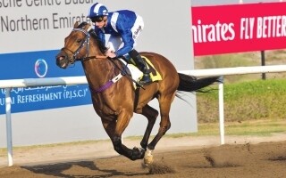 Horse Racing Season Kicks Off at Jebel Ali with 690k Dirham Prize Pool