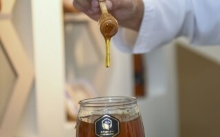 Dubai Municipality Announces the Return of the Hatta Honey Festival