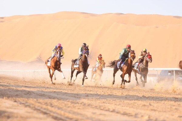 В Заиде прошли скачки чистокровных арабских лошадей