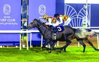 В Абу-Даби пройдут скачки с призовым фондом в 466 тысяч дирхамов