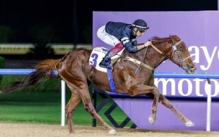 Дубай: скакун «Ан-Насиб» выиграл главный забег «Карахуд Спринт»