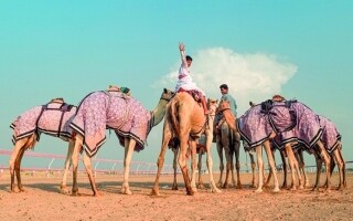Празднование наследия через верблюжьи бега в ОАЭ