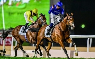 “大使”赢得迪拜草地赛