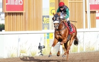 Финальный вечер скачек на ипподроме Джебель Али с призовым фондом в 576 тысяч дирхамов