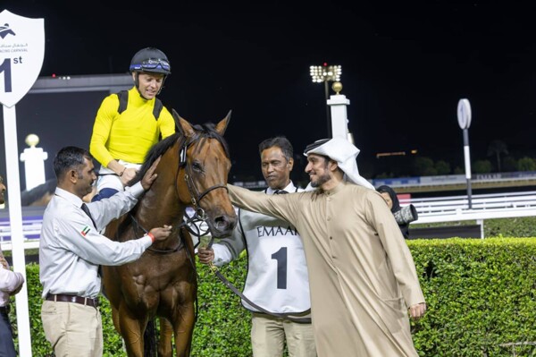 阿联酋派出35匹马参加2026年迪拜世界杯